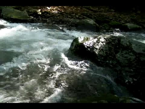 Kanape Brook in July 2009