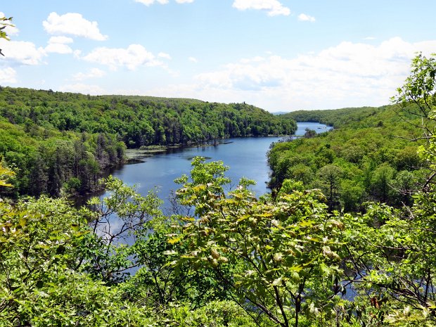 CanopusLakeShenandoahMay2014
