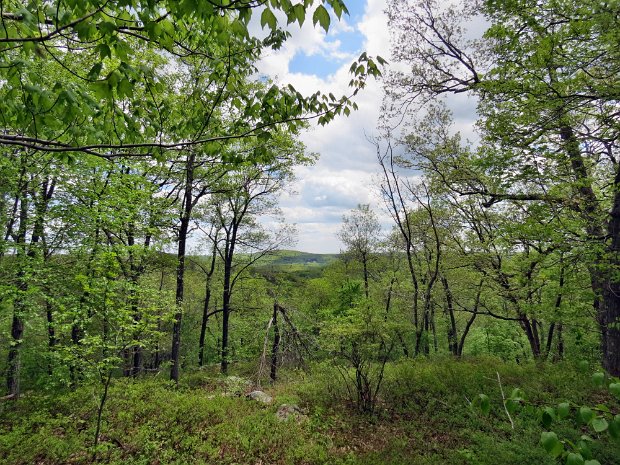 DennytownCanopusLakeMay2014