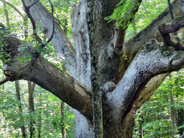 Route52DepotHillJun2014