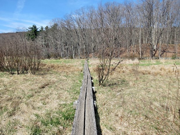 WhiteRocksAlbanyPostApr2014