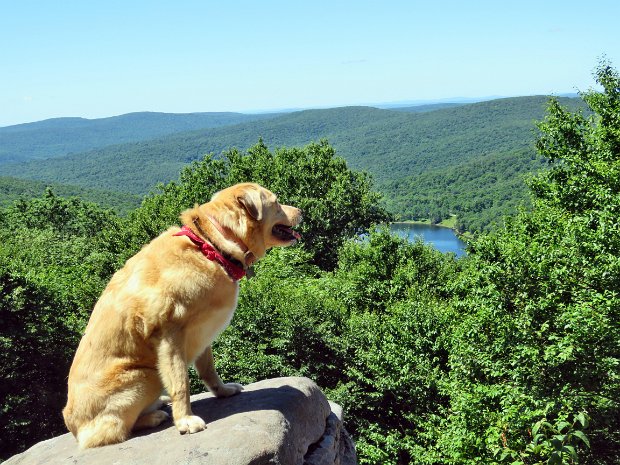 AlderBeecherLookoutJul2018