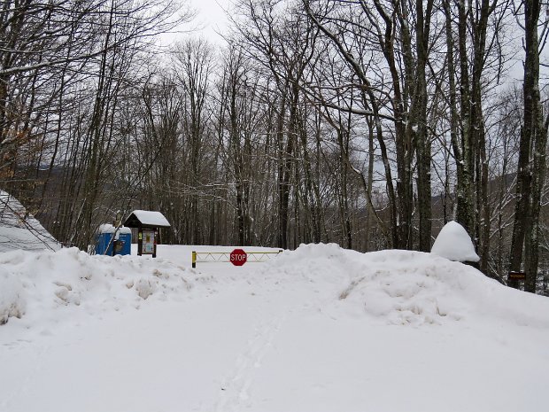 AlderLakeSnowshoeLoopFeb2021