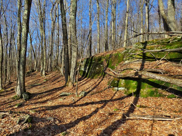 AlderLakeTowardBigPondFeb2018