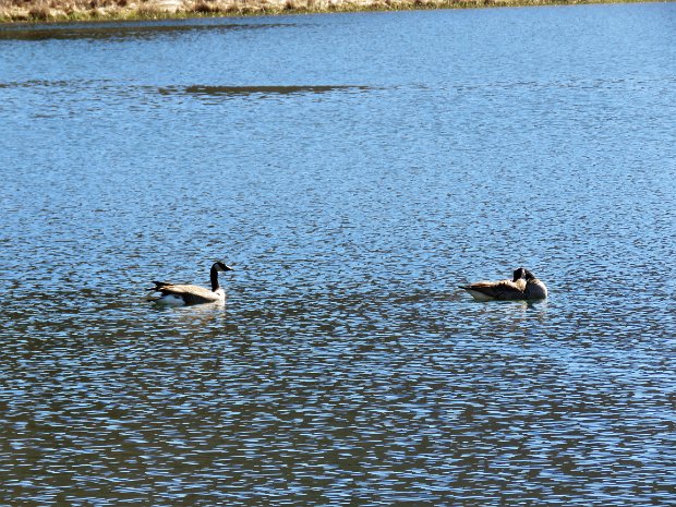 BeaverPondFallsApr2024