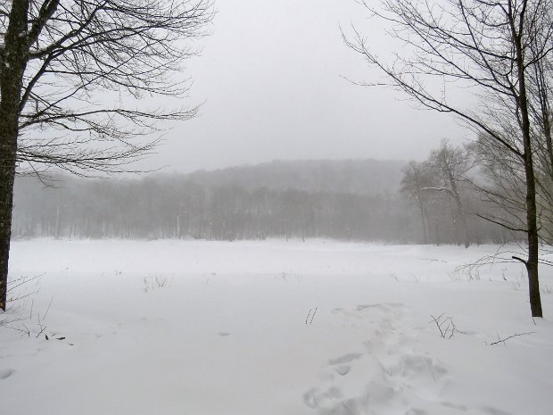 MillbrookRidgeFeb2021