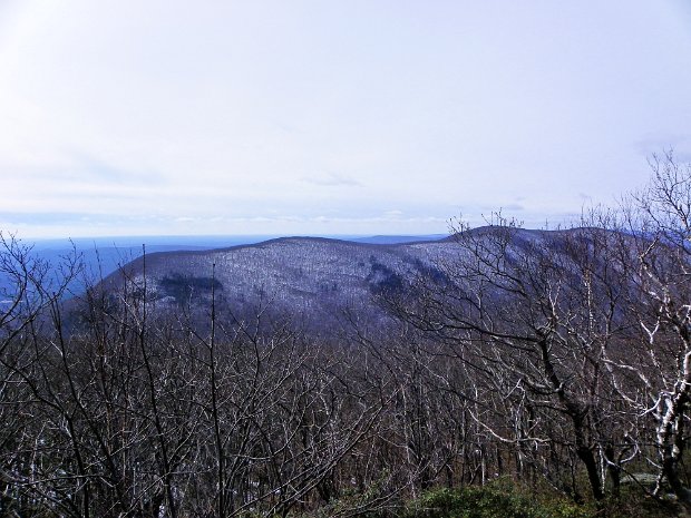 AshokanHPLittleAshokanFeb2012