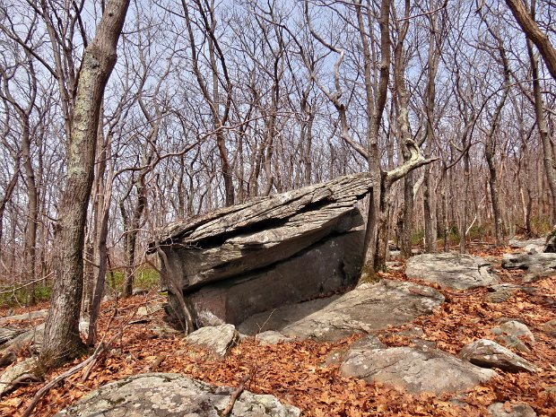 AshokanHPLoopApr2015