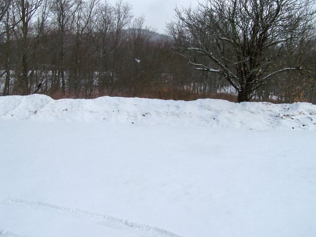 BalsamLakeGrahamFeb2008