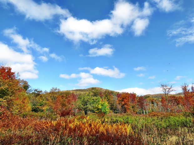 BalsamLakeGrahamOct2014