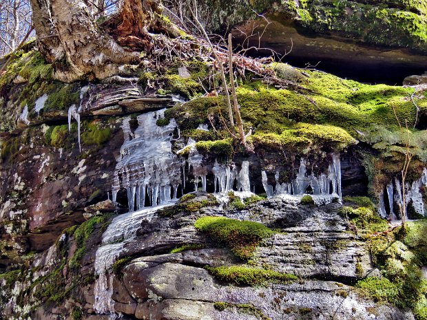 BalsamLakeMillbrookApr2019