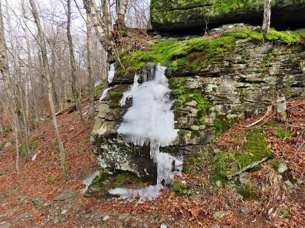 BalsamLakeMillbrookDec2017