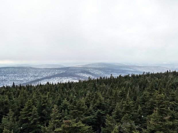 BalsamLakeMillbrookJan2013