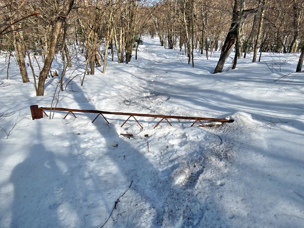 BalsamLakeMillbrookMar2015