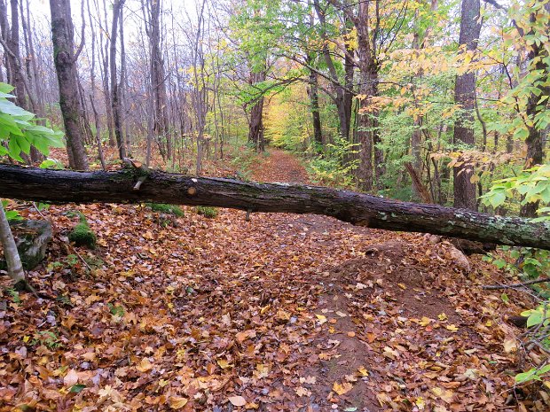 BalsamLakeTrailMaintenanceOct2021