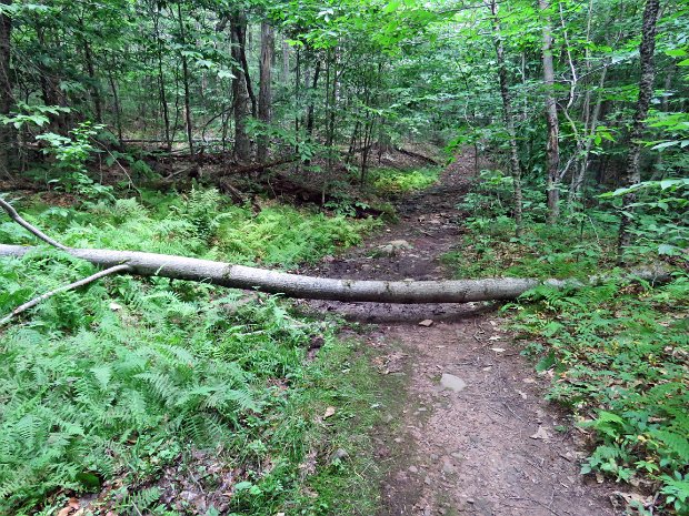 DryBrookMaintenanceJul2021