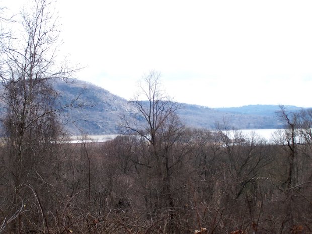 DoodletownCornellMar2008