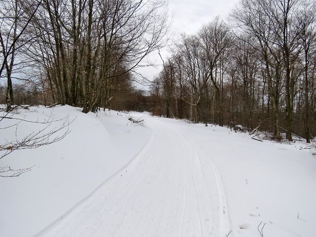 BearSpringBushwhackDec2016