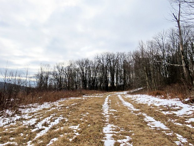 BearSpringEastFeb2016