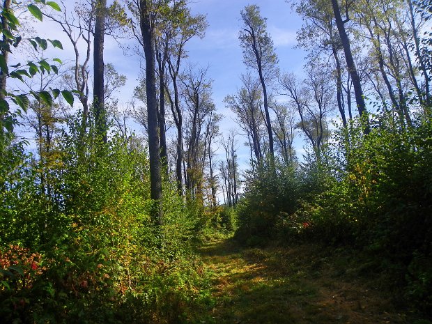 BearSpringLauntSep2011