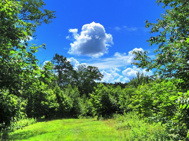 BearSpringRidgeLoopAug2020