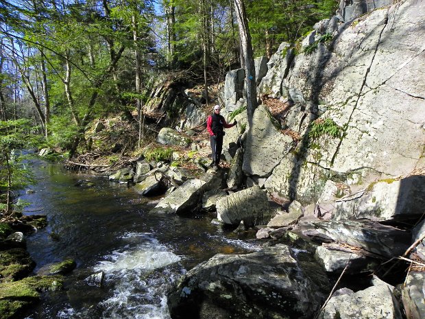 BearfortLookoutMar2010