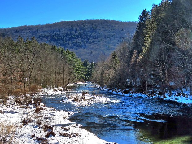 BeaverkillCampgroundsFeb2022