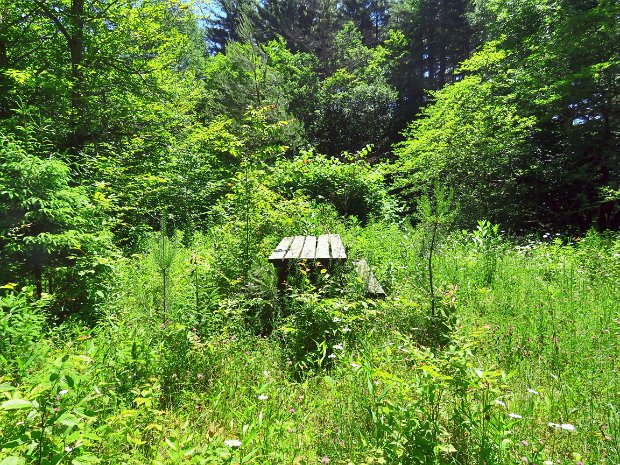 BeaverkillCampgroundsJun2020