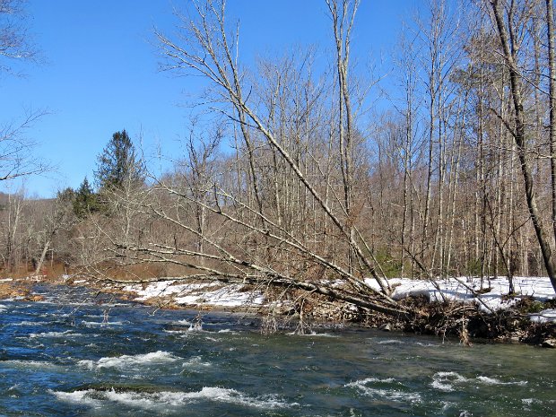 BeaverkillCampgroundsMar2021