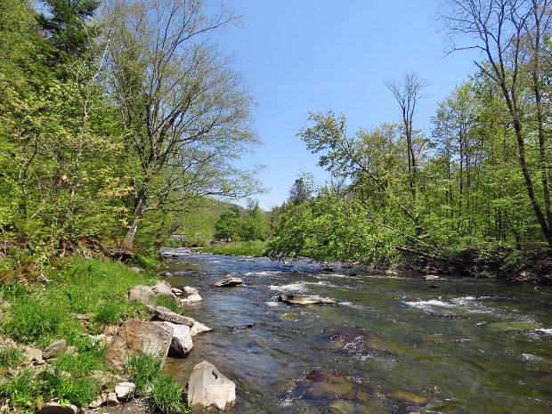 BeaverkillCampgroundsMay2021