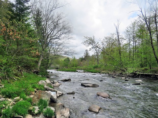 BeaverkillCampgroundsMay2022