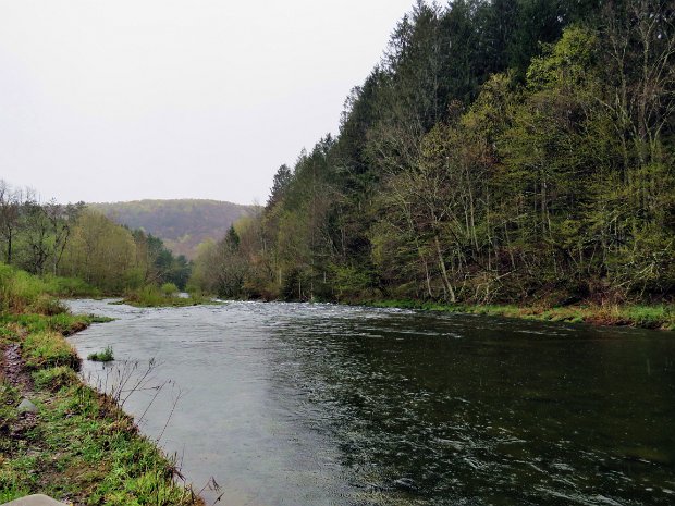 BeaverkillCampgroundsMay2023