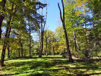 BeaverkillCampgroundsSep2026