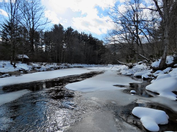 BeaverkillCampgroundsSnowshoeFeb2021