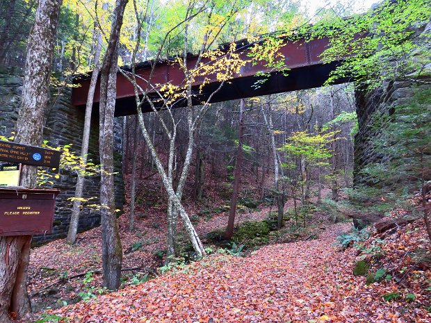 GiggleHollowCathedralGlenOct2020