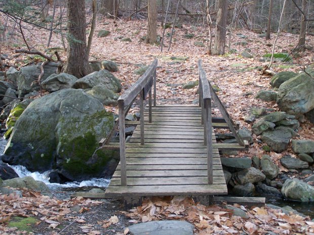 BlackRockForestJan2008