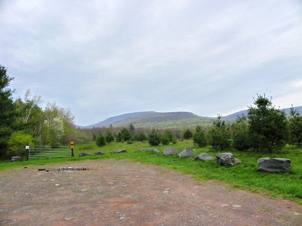 BlackheadColgateMay2011