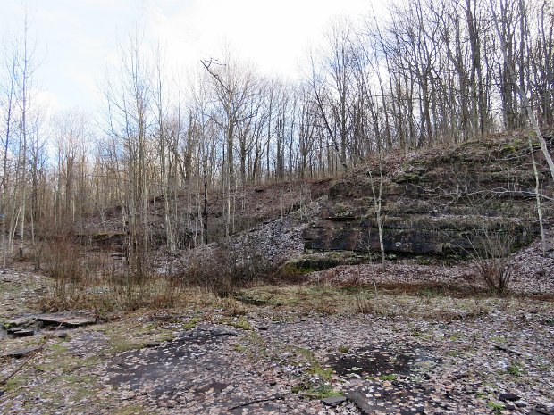 BramleyClockwiseJan2019