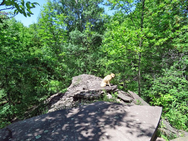 BramleyClockwiseJun2018