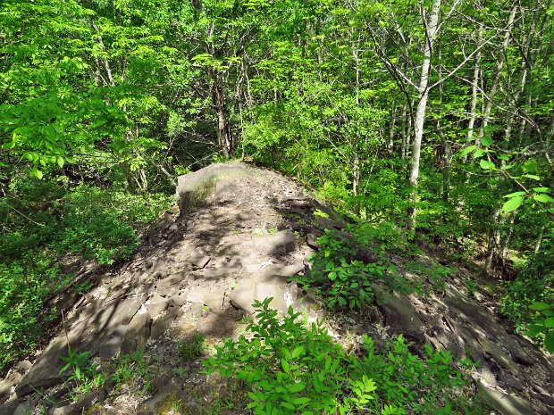 BramleyFireTowerJun2025