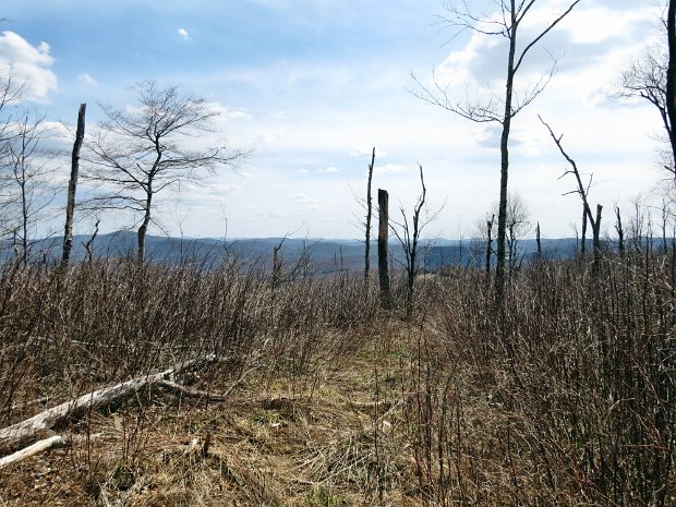 BramleyGlenBurnieApr2013