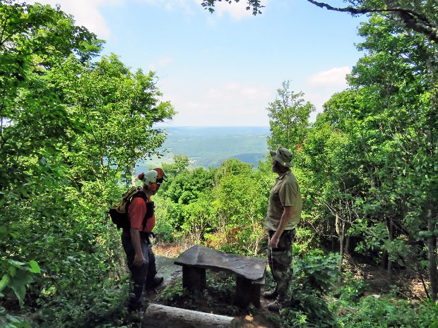 BramleyMaintenanceJul2016