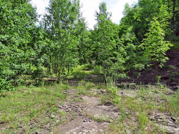 BramleyNewTrailsJul2016