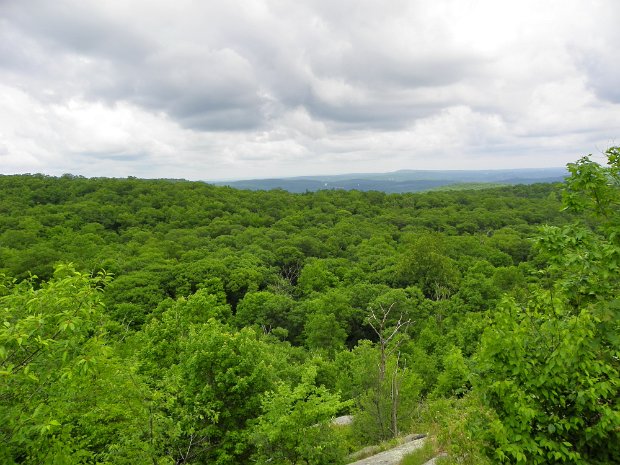 BuckWyanokiesMay2010