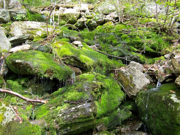 BurroughsLoopMay2007