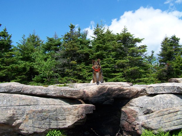 WittenbergCornellJun2008