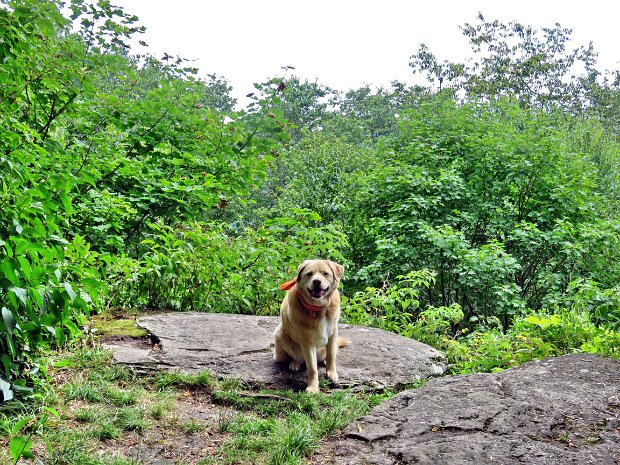 BeechHillCabotMaintenanceJul2022