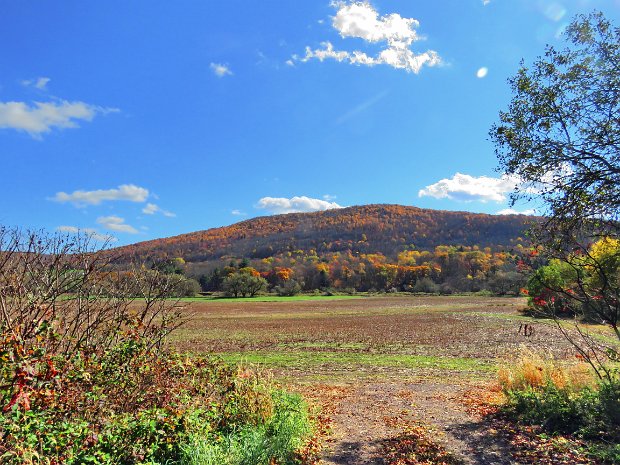 BloomvilleKortrightOct2020