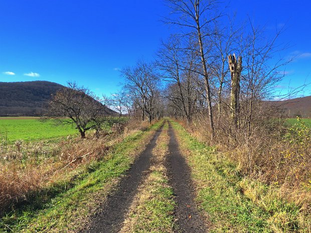 SouthKortrightBloomvilleNov2019