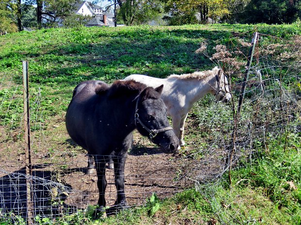 SouthKortrightHobartSep2019